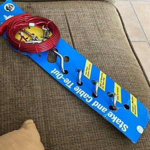 Stake and cable tie out